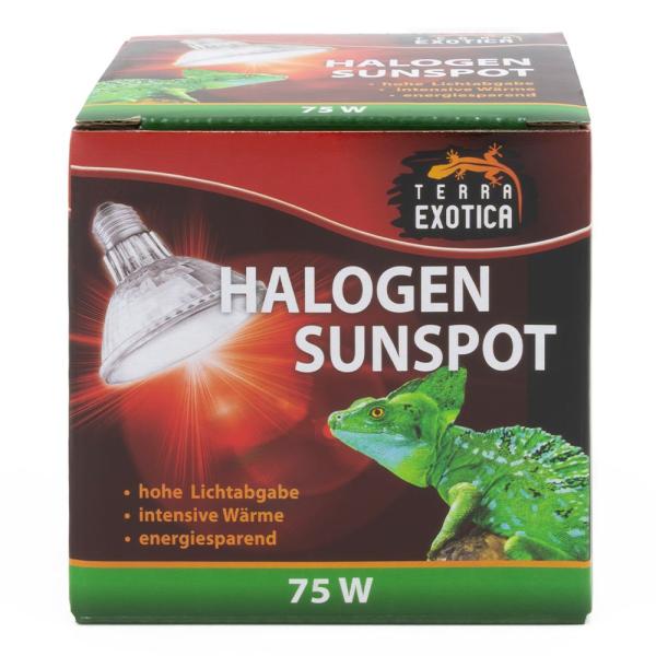 Terra Exotica Halogen Sunspot - Halogen Spotstrahler - 75 Watt
